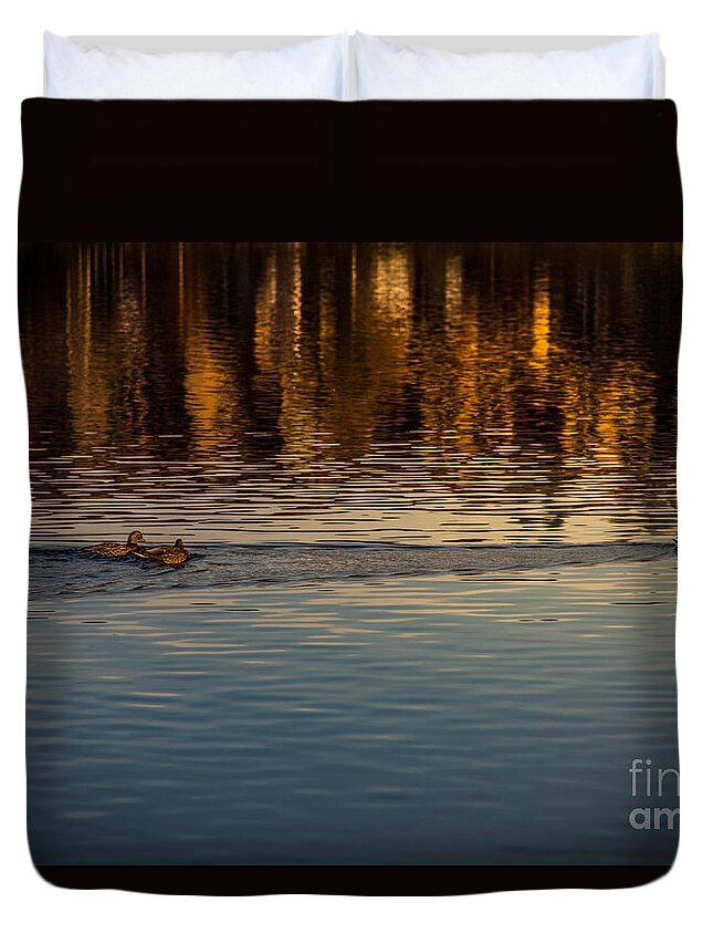 Ducks Duvet Cover featuring the photograph Ducks on the Pond by Matthew Nelson