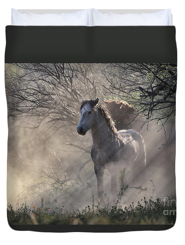 Stallion Duvet Cover featuring the photograph Dust Rays by Shannon Hastings