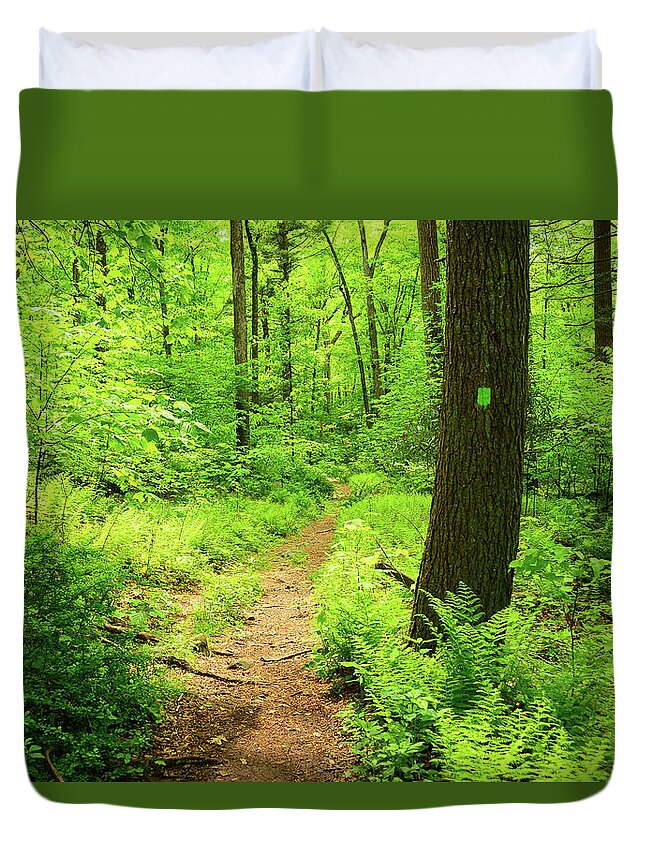 Dwg Dunnfield Creek Spring Green And Trail Blaze Duvet Cover featuring the photograph DWG Dunnfield Creek Spring Green and Trail Blaze by Raymond Salani III