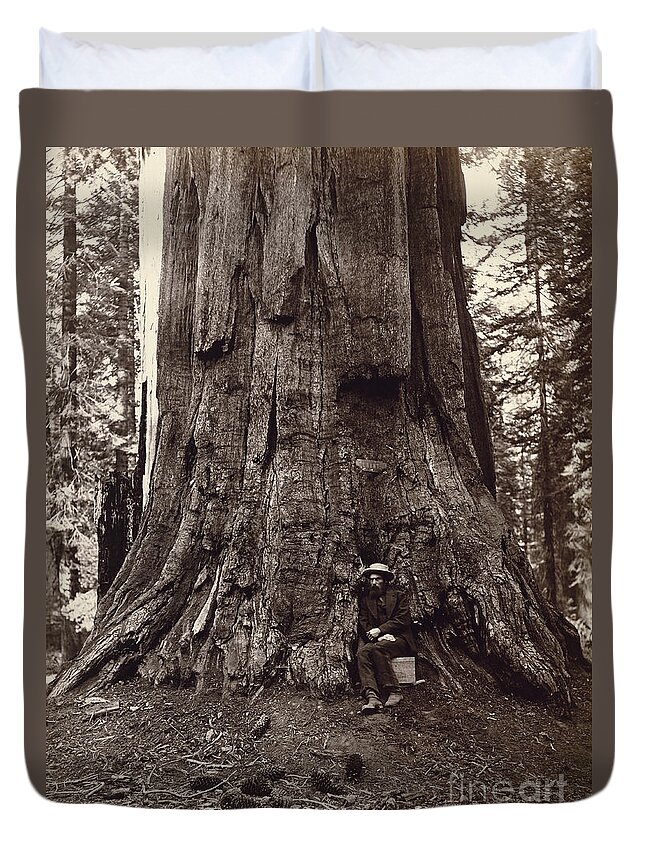 19th Duvet Cover featuring the photograph Eadweard Muybridge and General Grant Tree, c. 1864 by Getty Research Institute