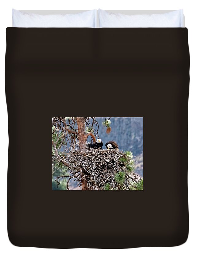 Eagle Duvet Cover featuring the photograph Eagle Family Dinner by Michael Dawson