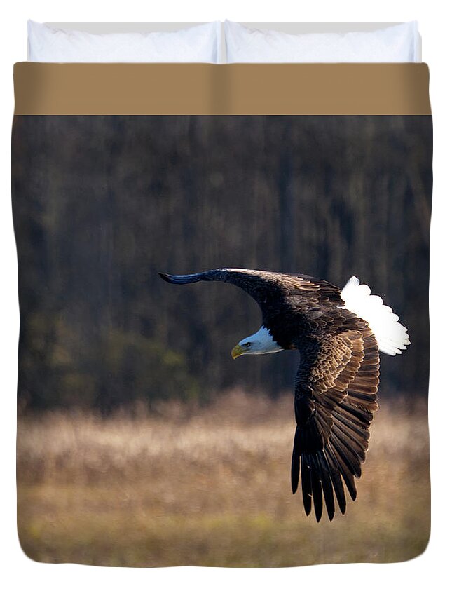 Eagle Duvet Cover featuring the photograph Eagle Flys Over Field by Flinn Hackett