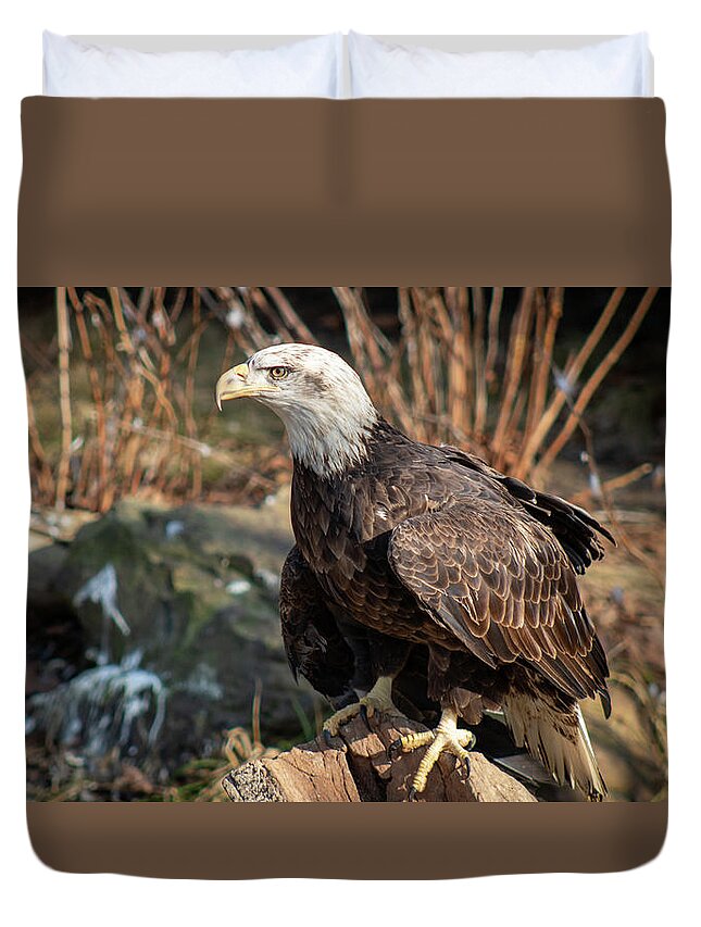 Bird Duvet Cover featuring the photograph Eagle by Jeremy Lankford