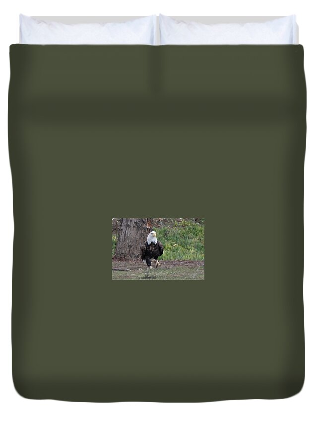 Wildlife Duvet Cover featuring the photograph Eagle Stroll by Laura Macky
