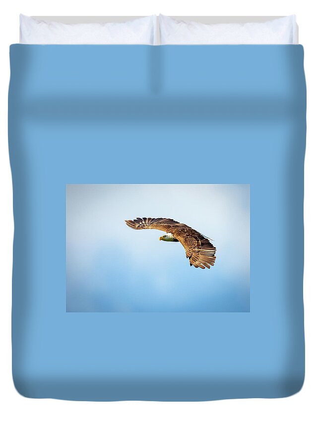 Bird Duvet Cover featuring the photograph Eagle Wings by Doug McPherson