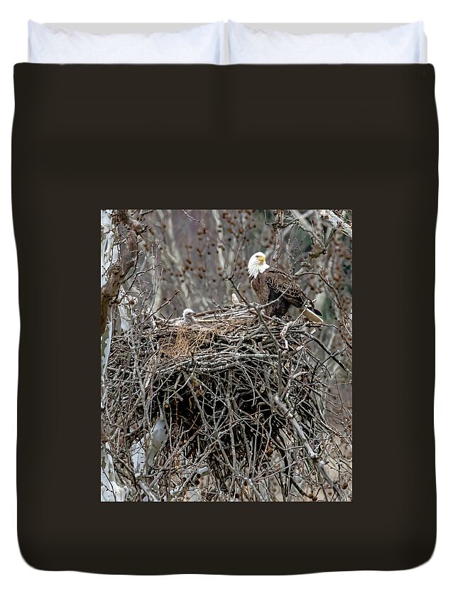 Eaglet Duvet Cover featuring the photograph Eaglet Before by Brian Shoemaker