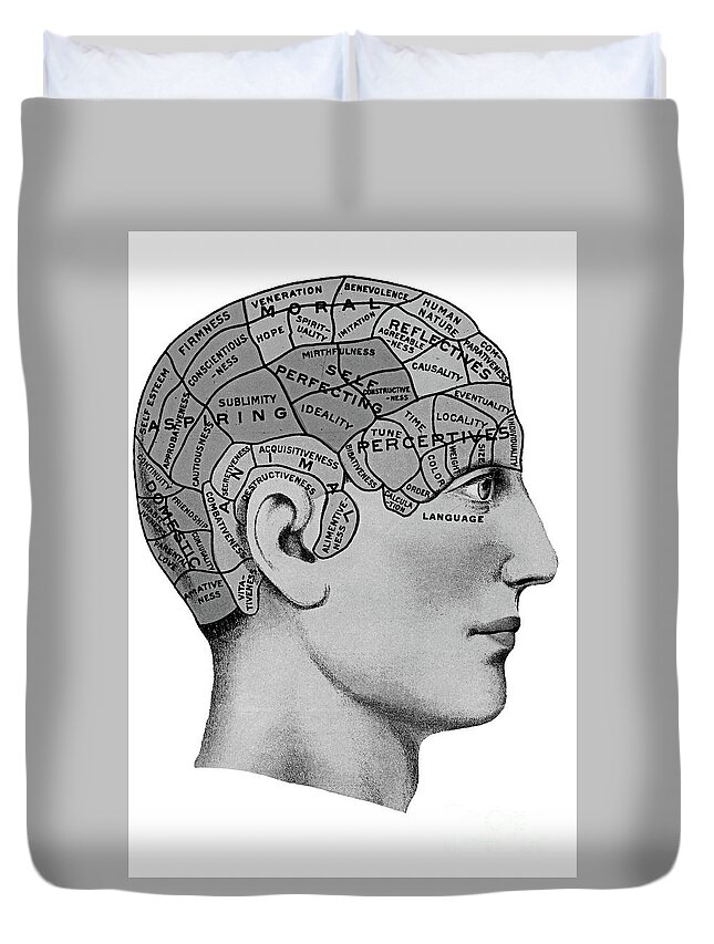 Division Duvet Cover featuring the drawing Early 20th Century Brain Area Illustration by Pete Klinger