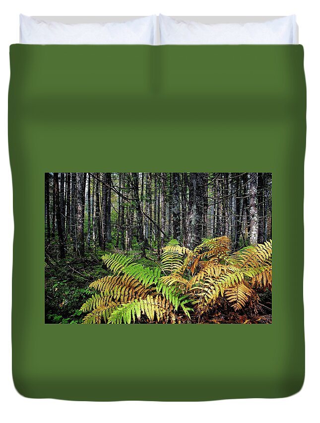 Nature Duvet Cover featuring the photograph Early Fall Ferns on the Trail by Ronald Lutz