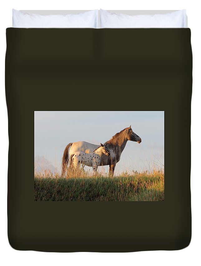 Horse Duvet Cover featuring the photograph Early Morning Light by Katie Keenan