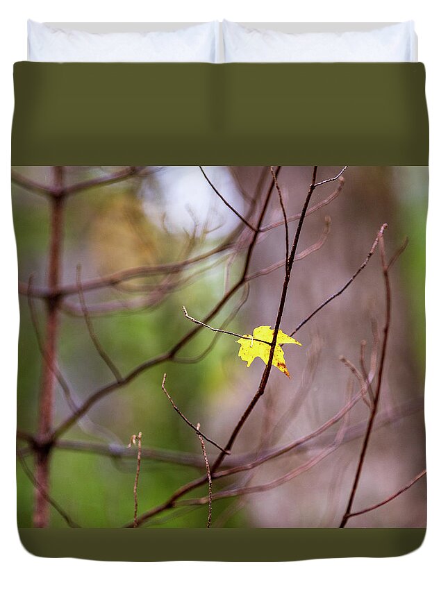 Tree Duvet Cover featuring the photograph Early Winter Tree by Amelia Pearn