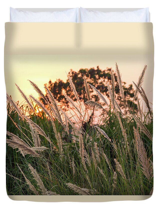 Pampas Grass Duvet Cover featuring the photograph Earth Essence by Josu Ozkaritz