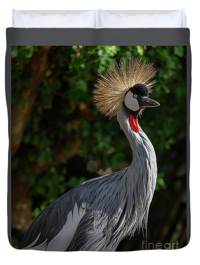 East African Crowned Crane Duvet Cover featuring the photograph East Africian Crowned Crane Balearica Regulorum by Abigail Diane Photography