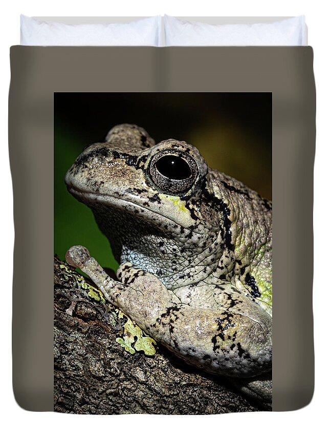 Eastern Gray Treefrog Duvet Cover featuring the photograph Eastern Gray Treefrog by Colin Chase