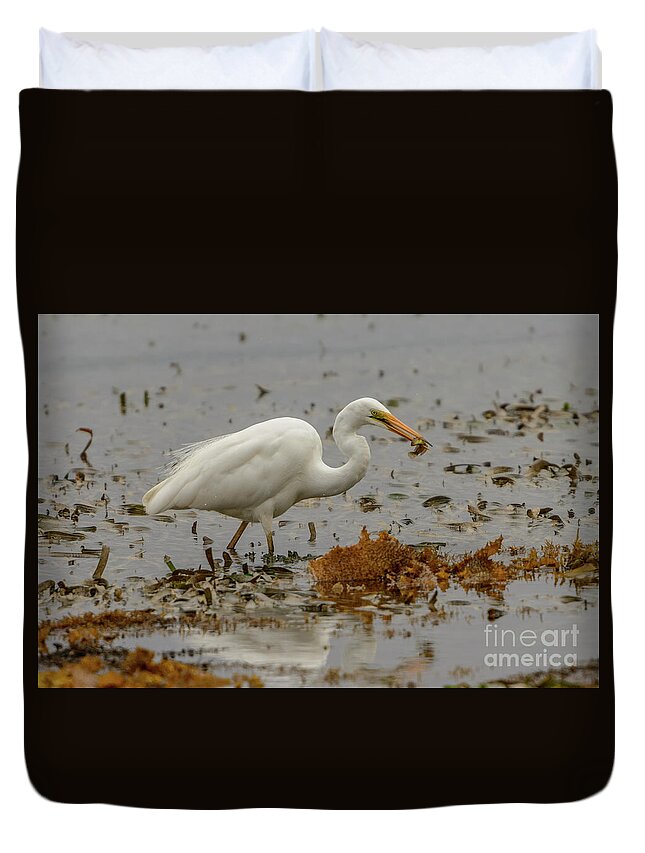 Nature Duvet Cover featuring the photograph Eastern Great Egret 10 by Werner Padarin