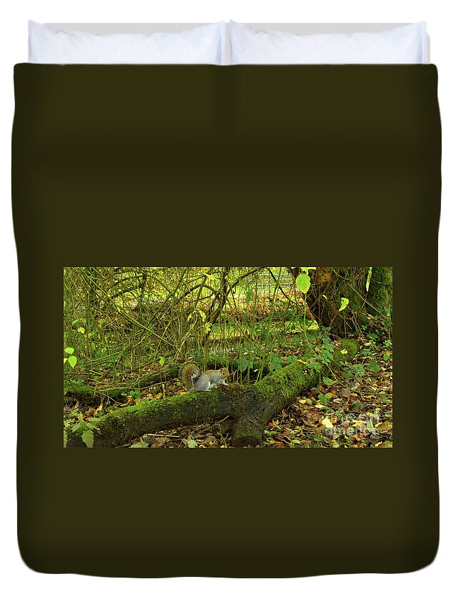 Grey Squirrel Duvet Cover featuring the photograph Eastern grey squirrel-Alkington Woods, Manchester, UK by Pics By Tony