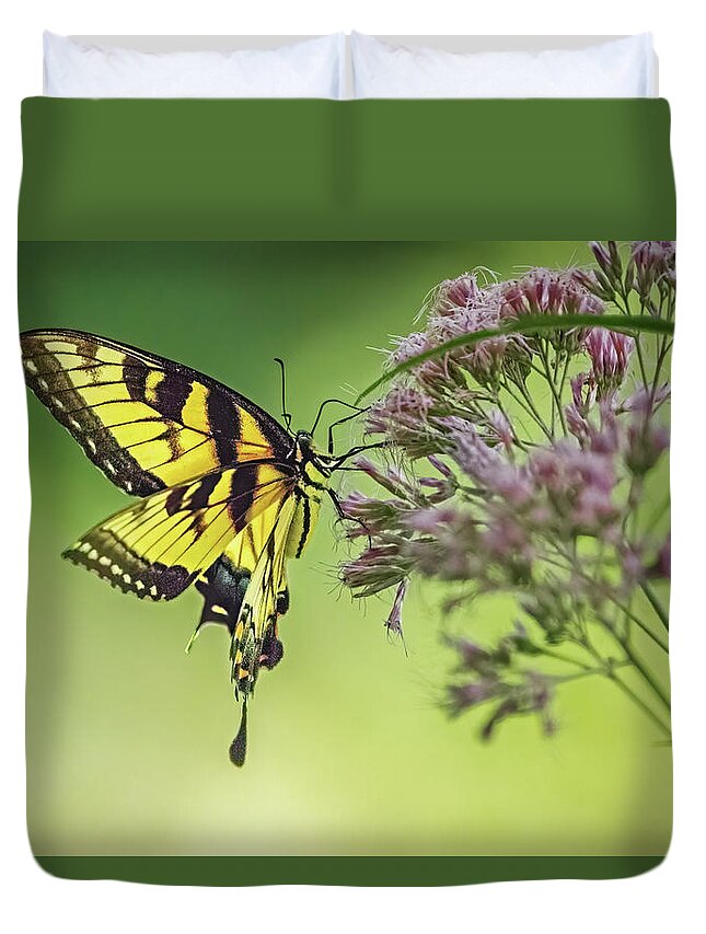 Butterfly Duvet Cover featuring the photograph Eastern Swallowtail Butterfly Gathering Nectar by Ira Marcus