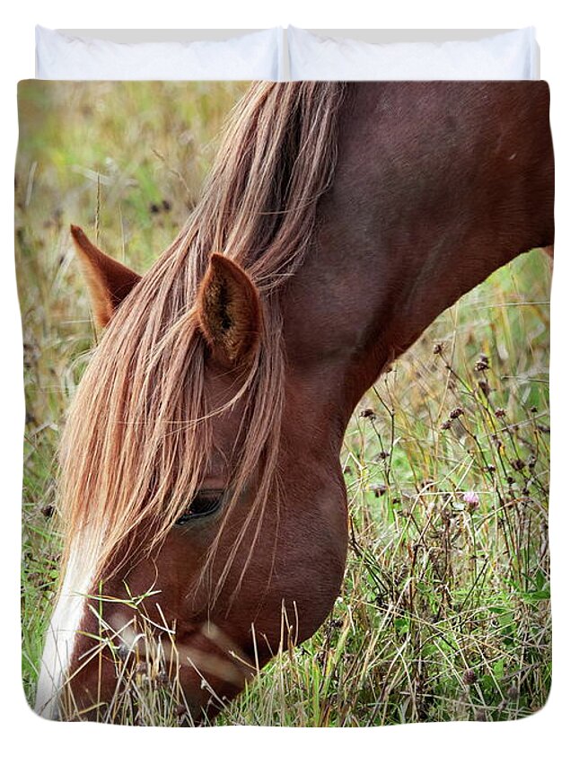 Equus Caballus Caballus Duvet Cover featuring the photograph Eat your greens. Horse by Jouko Lehto