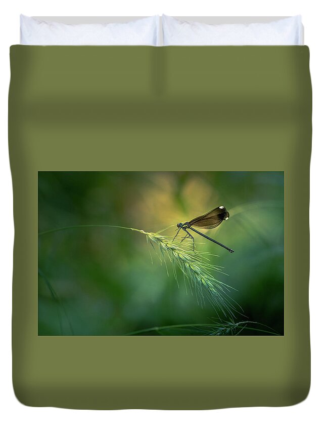 Ebony Jewelwing Duvet Cover featuring the photograph Black Winged Damselfly by Allin Sorenson