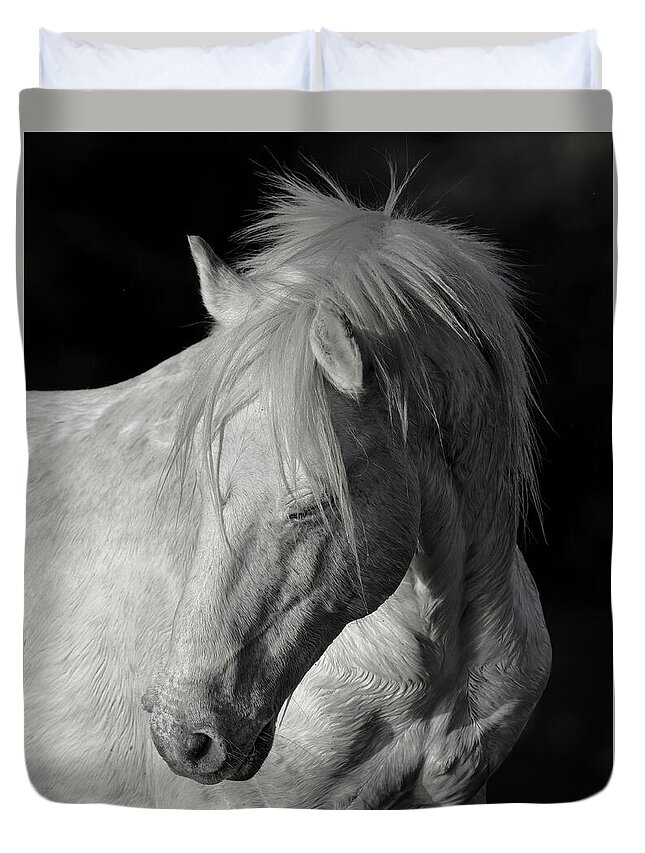 Stallion Duvet Cover featuring the photograph Elder Stallion. by Paul Martin