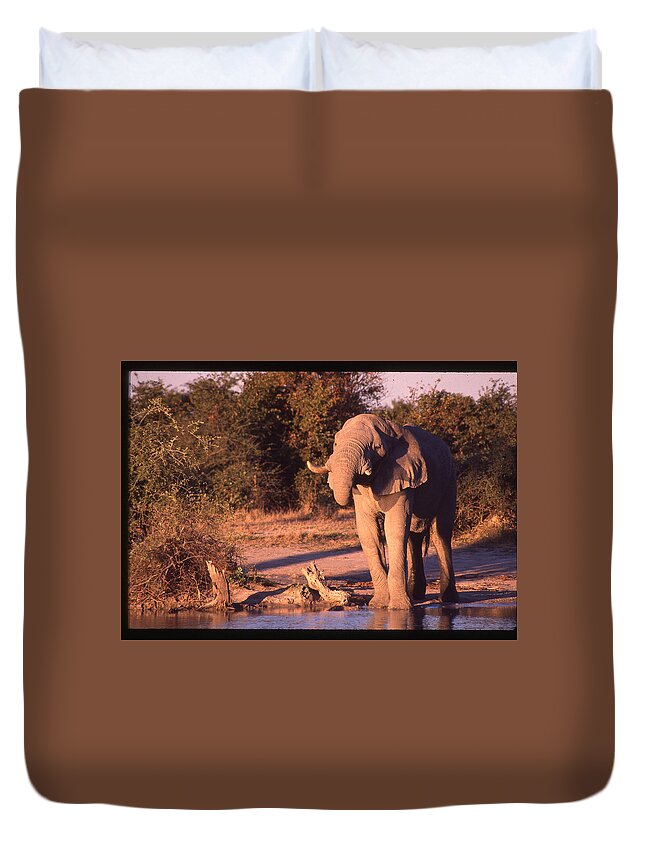 Africa Duvet Cover featuring the photograph Elephant at Watering Hole by Russel Considine