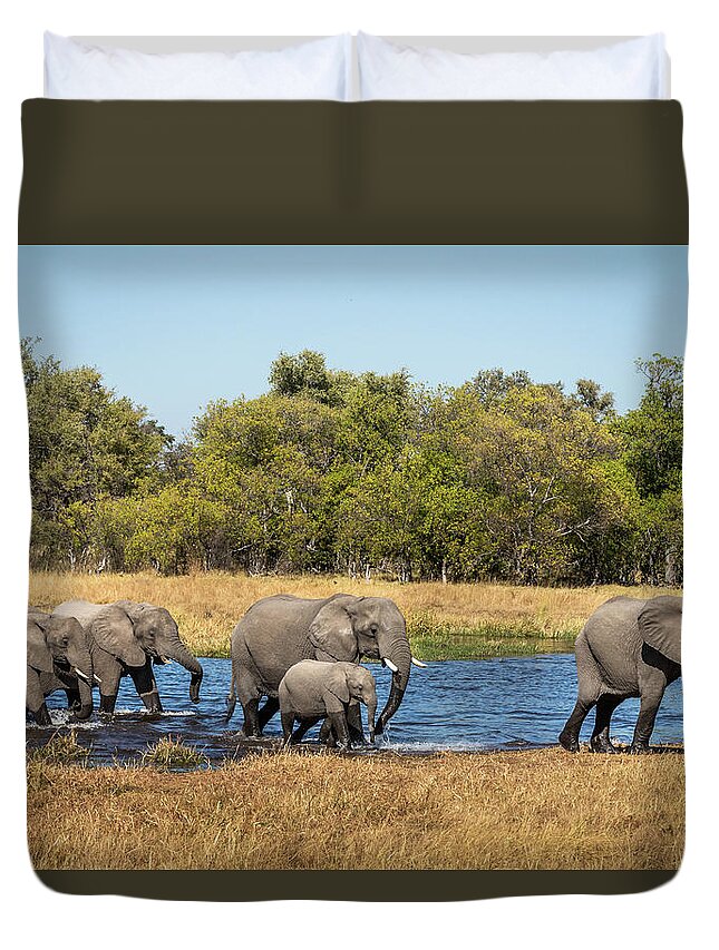 African Elephants Duvet Cover featuring the photograph Elephants Crossing the River by Elvira Peretsman