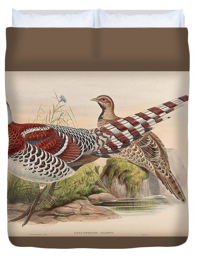 John Duvet Cover featuring the mixed media Elliot's Pheasant by World Art Collective