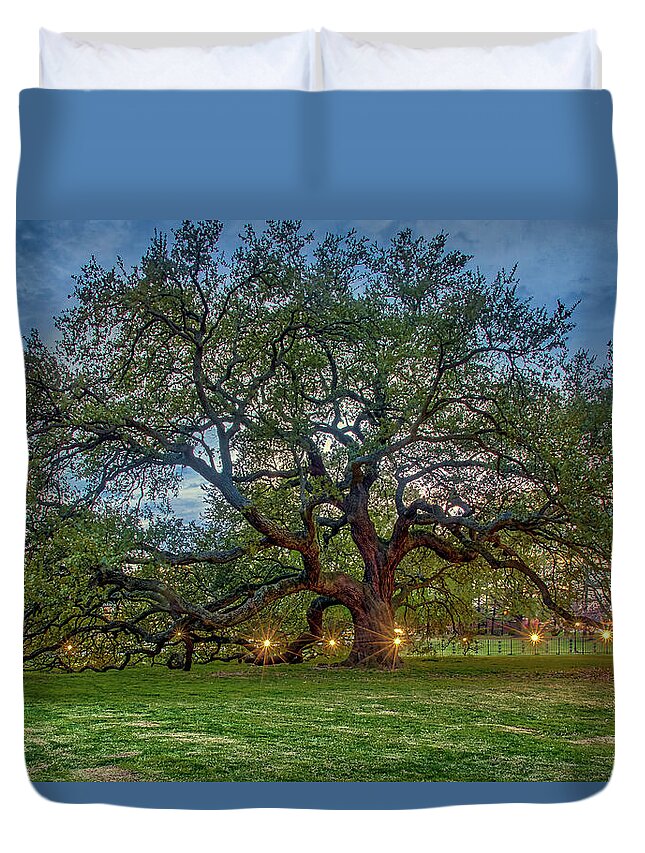 Emancipation Oak Duvet Cover featuring the photograph Emancipation Oak at Dusk by Jerry Gammon