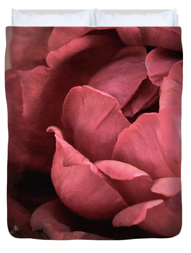 Rose Duvet Cover featuring the photograph Emerging Rose by Sally Bauer