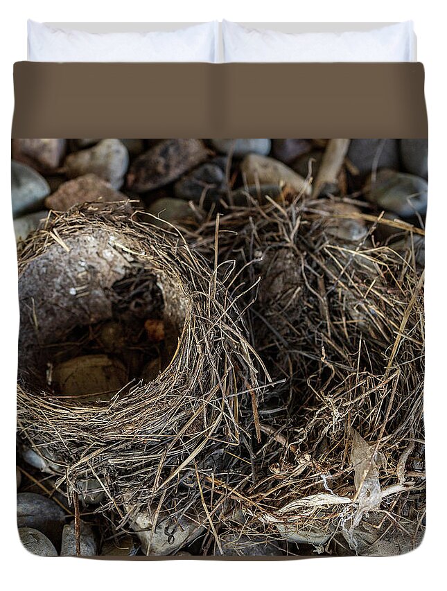 Animals Duvet Cover featuring the photograph Empty Nest - Wildlife Photography 2 by Amelia Pearn