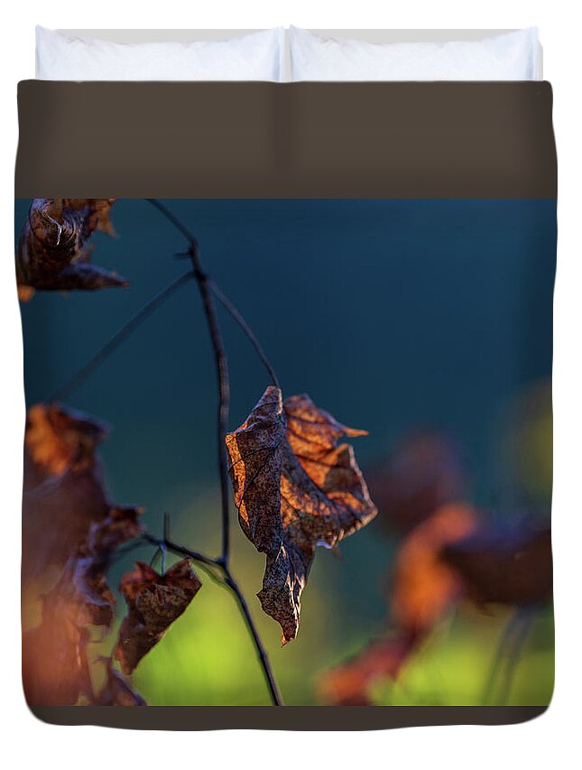 Brown Duvet Cover featuring the photograph End of Autumn by Amelia Pearn