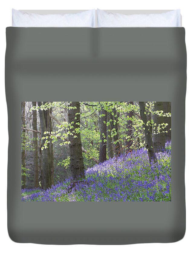 Bluebells Duvet Cover featuring the photograph English Bluebell Wood by Anita Nicholson