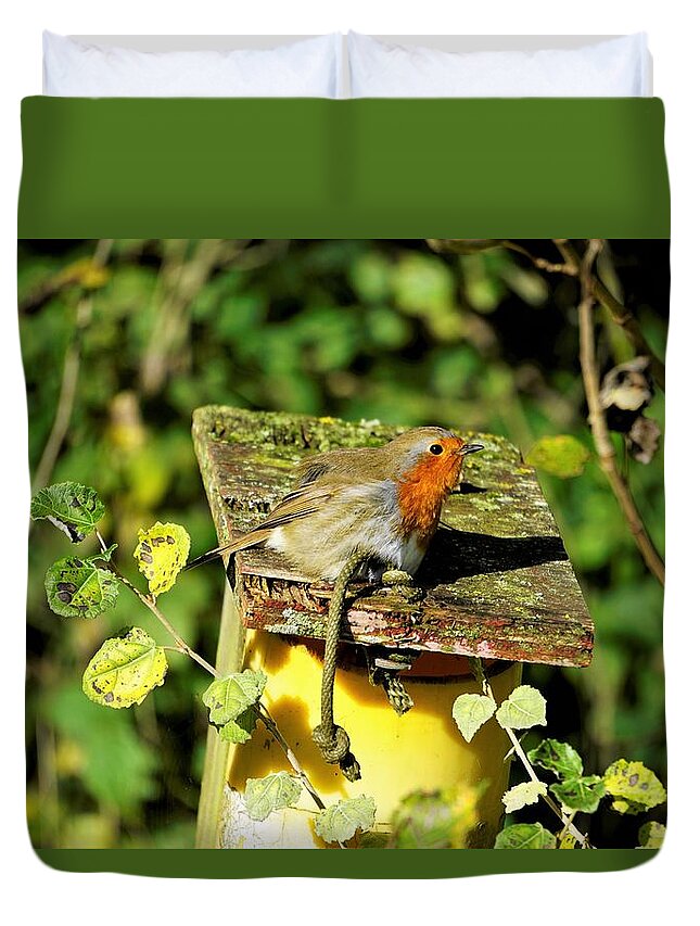 Robin Duvet Cover featuring the photograph English Robin On A Birdhouse by Tranquil Light Photography