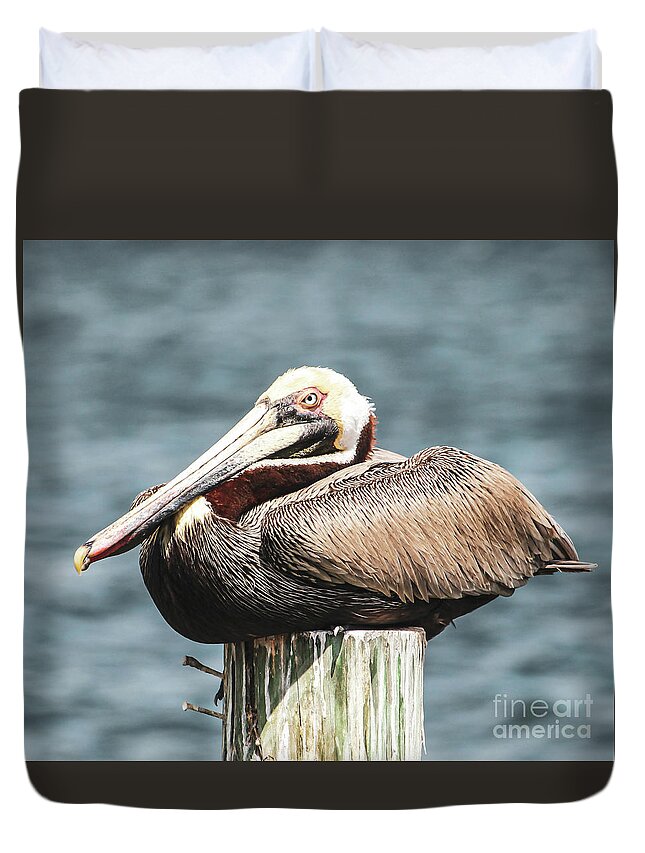 Brown Pelican Duvet Cover featuring the photograph Enjoy Life's Moments by Joanne Carey