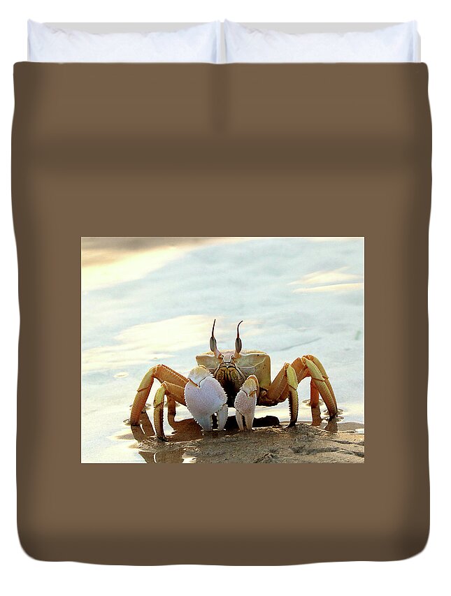  Duvet Cover featuring the photograph Eric 515 by Eric Pengelly