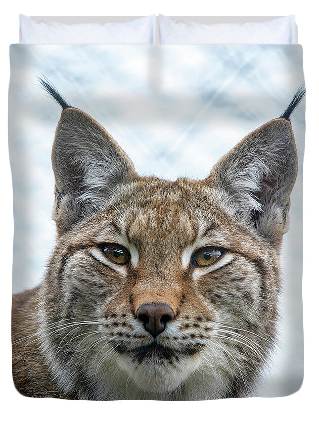 Lynx Duvet Cover featuring the photograph Eurasian Lynx portrait by Gareth Parkes