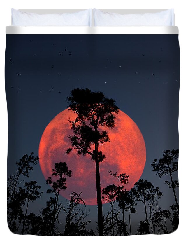 Moon Duvet Cover featuring the photograph Everglades Planet by Mark Andrew Thomas