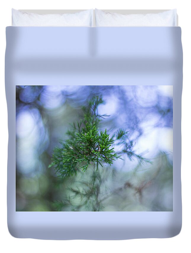 Tree Duvet Cover featuring the photograph Evergreen by David Beechum
