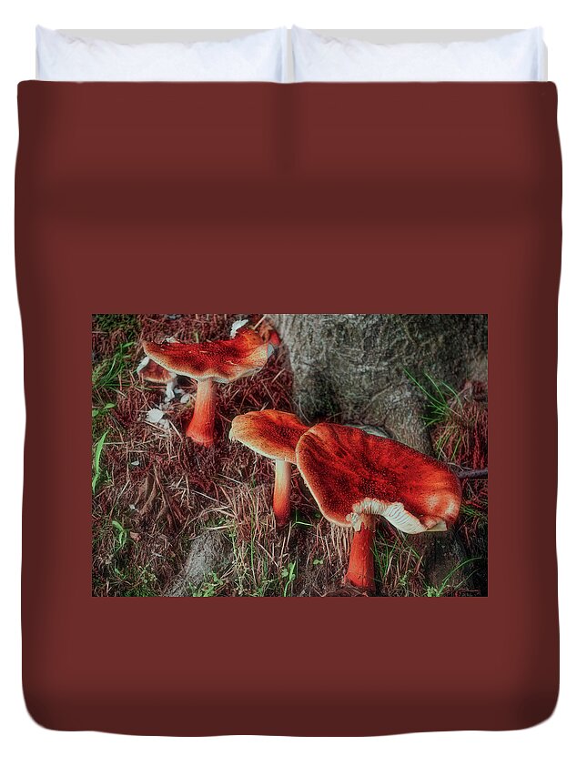 Forest Duvet Cover featuring the photograph Everyday Mushrooms by Cordia Murphy