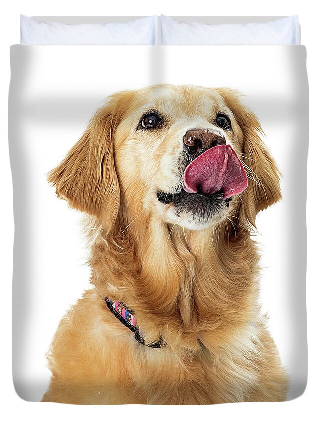 Dog Duvet Cover featuring the photograph Excited Hungry Golden Retriever Dog Closeup by Good Focused