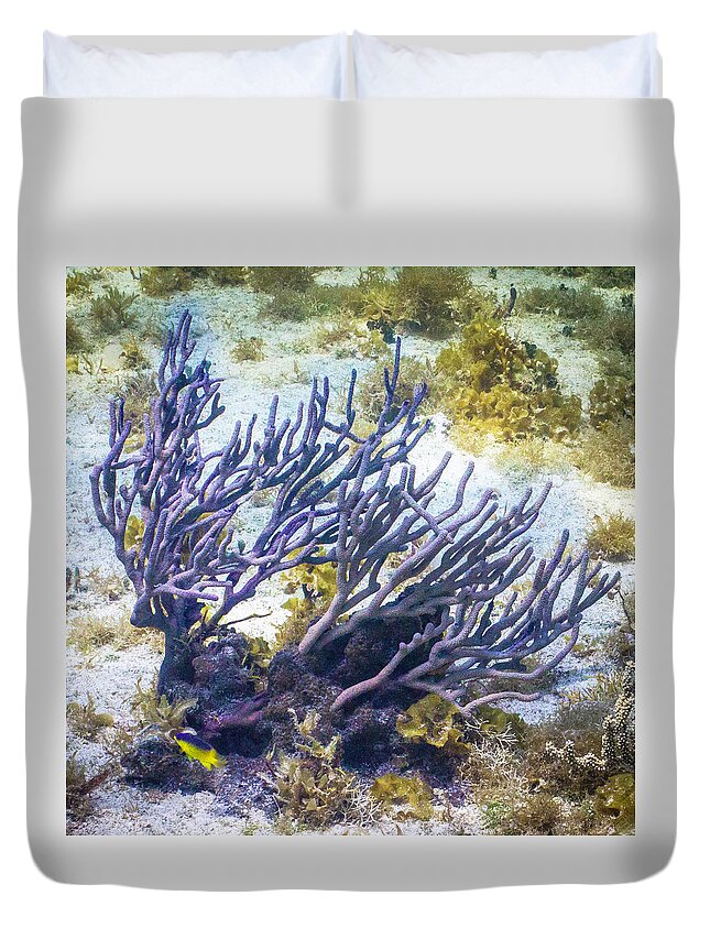 Fish Duvet Cover featuring the photograph Fairytail Land by Lynne Browne