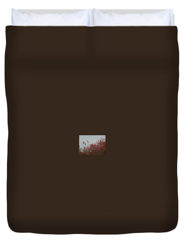Red Berries Duvet Cover featuring the photograph Fall berries by the seaside by Kim Galluzzo