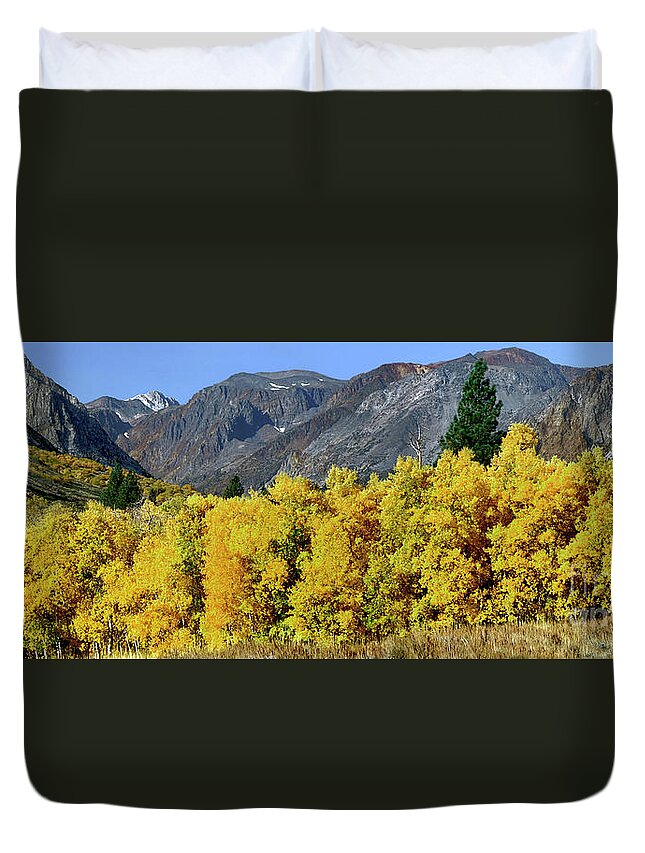 Dave Welling Duvet Cover featuring the photograph Fall Color Eastern Sierras California by Dave Welling