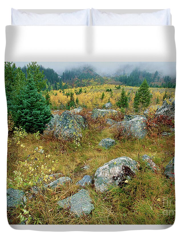 Dave Welling Duvet Cover featuring the photograph Fall Color Lupine Meadows Grand Tetons Np Wyoming by Dave Welling