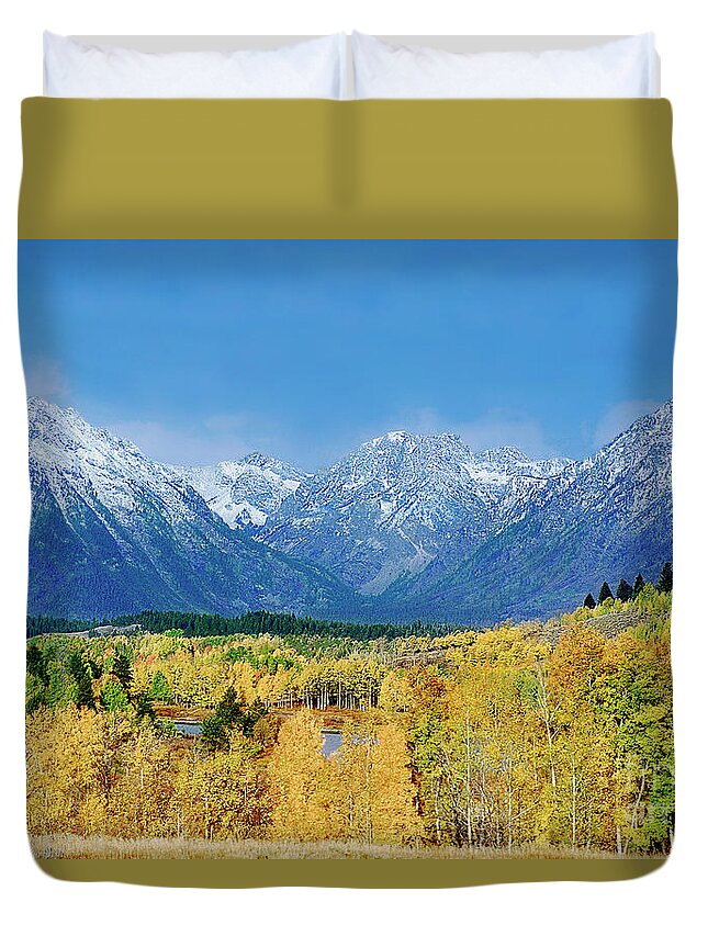 Grand Tetons National Park Duvet Cover featuring the photograph Fall Colored Aspens Grand Tetons National Park by Dave Welling