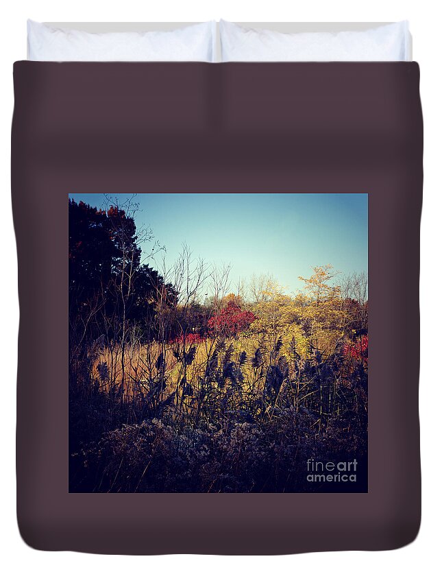 Nature Duvet Cover featuring the photograph Fall Colors In The Prairie by Frank J Casella
