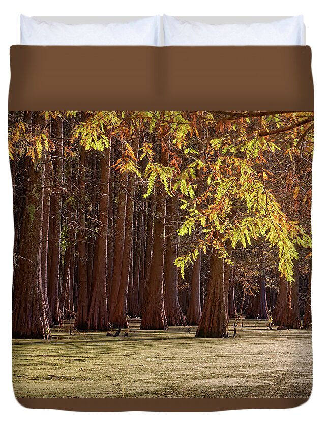 Swamp Duvet Cover featuring the photograph Fall in Mingo Wilderness by Robert Charity