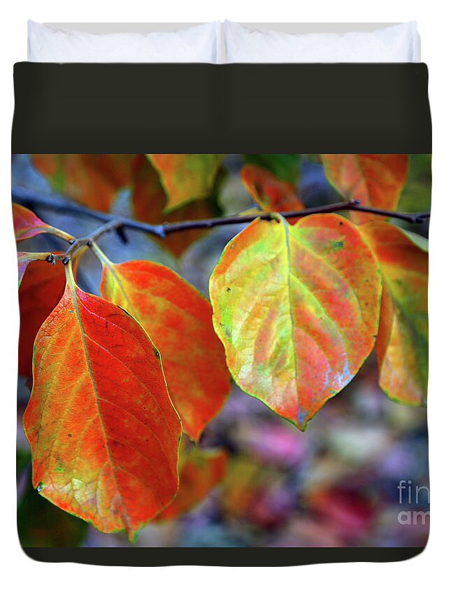 Leaves Duvet Cover featuring the photograph Fall Leaves by Vivian Krug Cotton