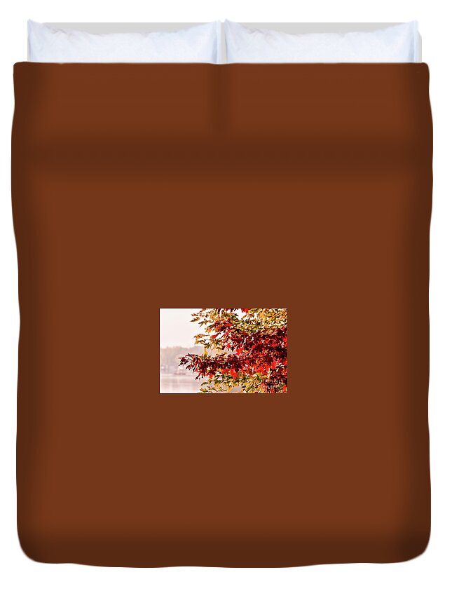 Maple Tree Duvet Cover featuring the photograph Fall Maple by Ksenia VanderHoff