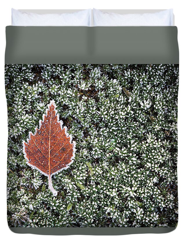 Duvet Cover featuring the photograph Fall meets winter by Patrick Van Os