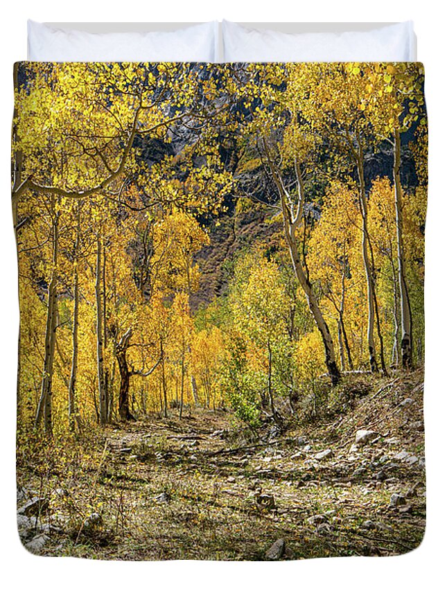 Aspens Duvet Cover featuring the photograph Fall Mountain Road by Ron Long Ltd Photography